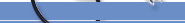 MLA Essay